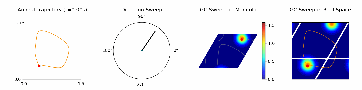 Theta Sweep Animation